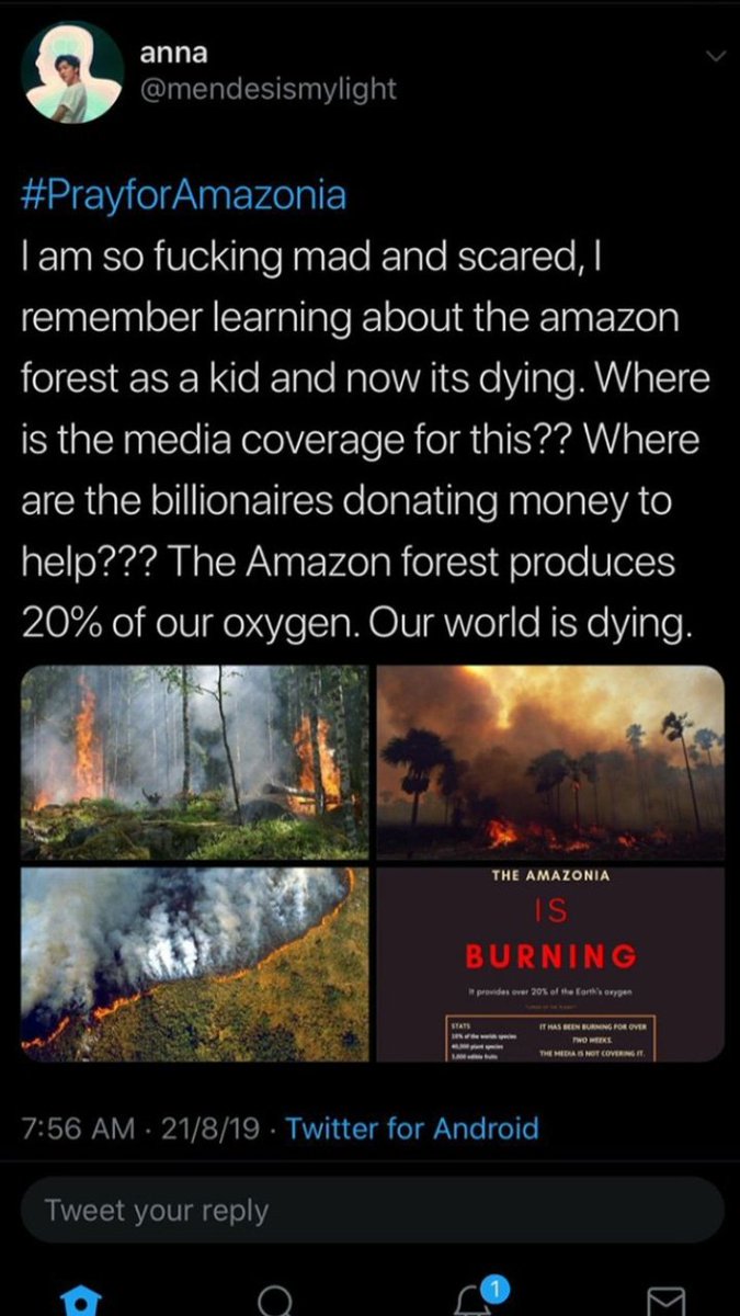 THESVTK's tweet image. #SAVEAMAZONFOREST
Brazil Government Please Save Amazon Forest