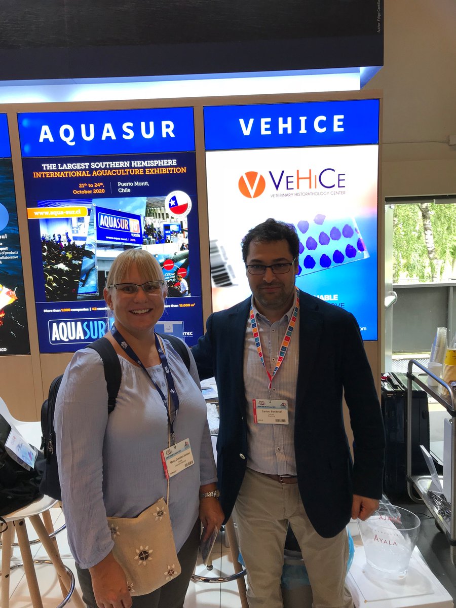 VehiceLab's tweet photo. Excelente participación de #VeHiCe  en  Feria internacional Aqua Nor....nuevos contactos, nuevas alianzas...Seguimos internacionalizando nuestros servicios!! https://t.co/MTvEXzO96O