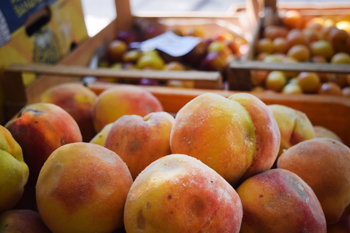Au cours d'un workshop de photographie au Camp d’été TUMO, Elizabeth Merlich s'est initiée à la photographie culinaire ! À propos, saviez-vous que l'abricot est l'un des symboles de l'#Arménie ?