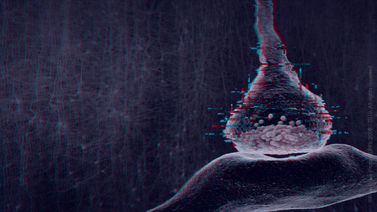 GIRCOR's tweet photo. #Neurosciences🧠: seul le #BlueBrainProject, un modèle numérique de micro-réseau neuronal du #cerveau du #rat🐀 montre comment le cerveau trouve de l'ordre dans l'océan de bruits, d'incertitudes et de chaos des échanges électriques synaptiques😮 https://t.co/HIh4LudPOV via @EPFL https://t.co/5ueU6wKJkU