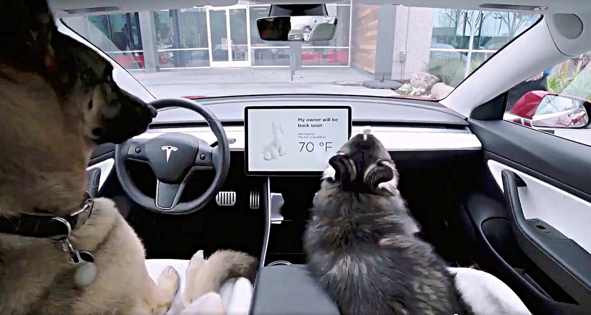 uspto's tweet photo. From the Frisbee® to @Tesla’s “dog mode” and advances in pet prosthetics, innovation has come a long way for our pets thanks to #IP. Read more in our latest #blog: https://t.co/PDLbIqO9Lq.
#DogDaysofSummer https://t.co/BBJXHSPnwK