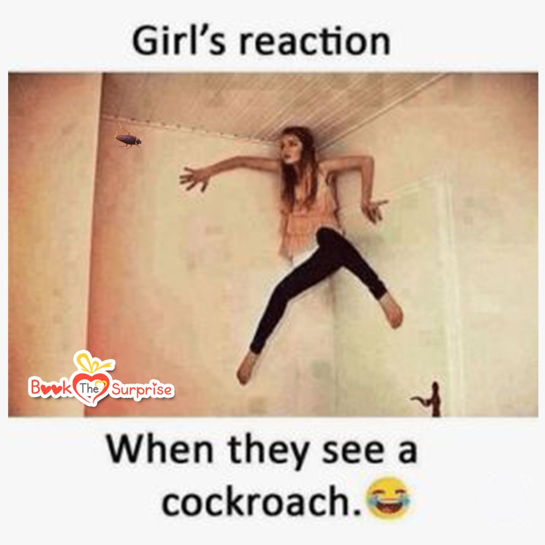 Bookthesurprise's tweet photo. How girls react when they realise that the cockroach has wings!
.
.
#wholesomememes #scared #crazymemes #dankmemes #girlmemes #boymemes #wholesome #memes #friendmemes #cockroach#funnymemes #besties👭 #bestiesforever #friends #jokes #comedy #boys #girls #bookthesurprise https://t.co/9LfJ6KKLBX