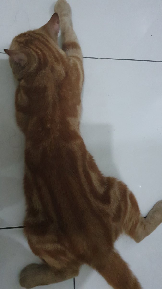 yhanahippy's tweet photo. Endul sakit :"( https://t.co/o4pZVCxVCV