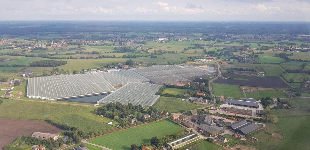 Havecon's tweet photo. Glazing process has started today at Beyens BVBA in Belgium! #Build2Grow #Horticulture #Construction https://t.co/lb6ZGJg786