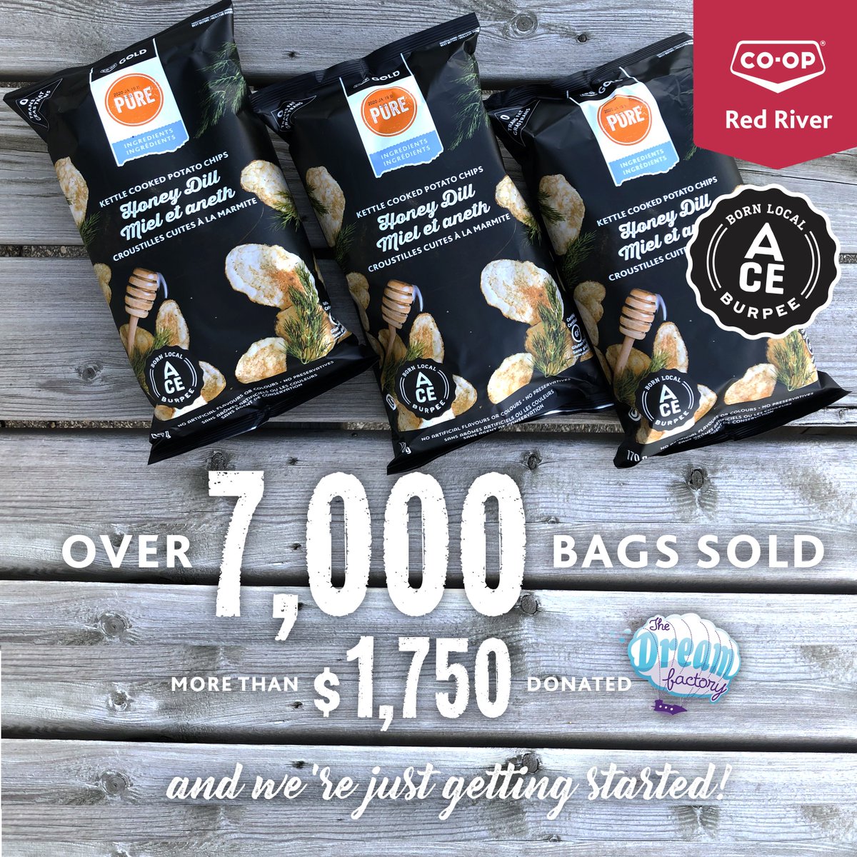 RedRiverCoopLtd's tweet photo. *UPDATE* Wow!! While we all thought the chips were absolutely delicious, we were still blown away by the response. Only a few days after going on sale and we have sold over 7,000 bags of #AceBurpee's (@VirginRadioWPG) Red River Co-op exclusive Kettle Cooked Honey Dill Chips! https://t.co/7oADmXxmPL
