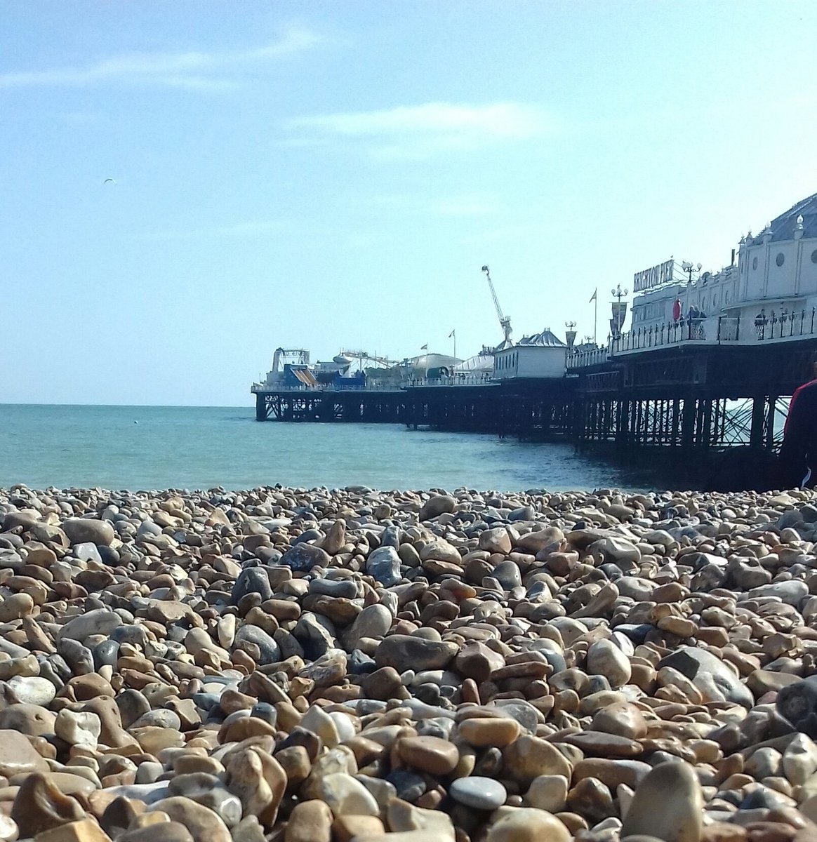 drawnbynicky's tweet photo. Lovely sunny day in Brighton on Wednesday, visiting the new Artbox cafe and relaxing by the sea ☺ #artboxcafe #pusheen #brighton #summer #icecream #beach #carousel https://t.co/kmUNvziUwU