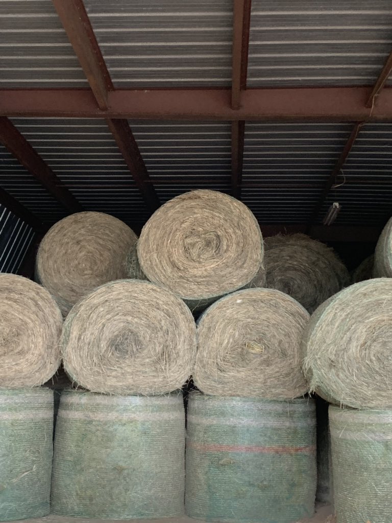 cwhoff17's tweet photo. @hankkMG I may know 100 ton of what your looking for https://t.co/5ez5JDV8WV