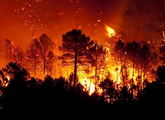 L'Amazzonia brucia. Il polmone del Pianeta rischia di scomparire - colibrimagazine.it/ambiente/lamaz…
