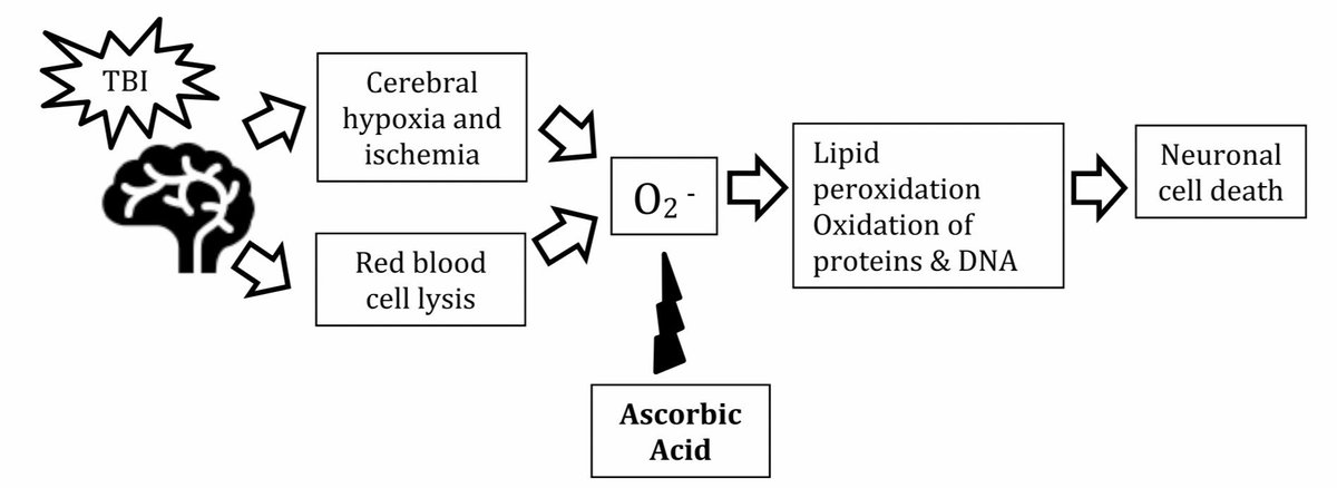 job_rdz's tweet image. Ácido Ascórbico 🍊 en Lesión Cerebral Traumática 🧠❓ ... 🤔

[📃] link.springer.com/article/10.100…

#FOAMex #FOAMcc #NeuroCC