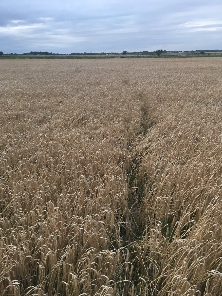 H&P Ascroft tweet media