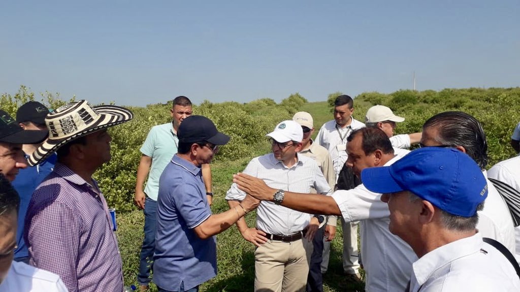 #AEstaHora🕘 | Nuestro alcalde <a href="/FelixFontalvoA/">Félix Fontalvo Ávila</a> realiza visita de inspección con el <a href="/MinAgricultura/">Min. de Agricultura</a> Andrés Valencia en predios afectados por la plaga del Dragón Amarillo.