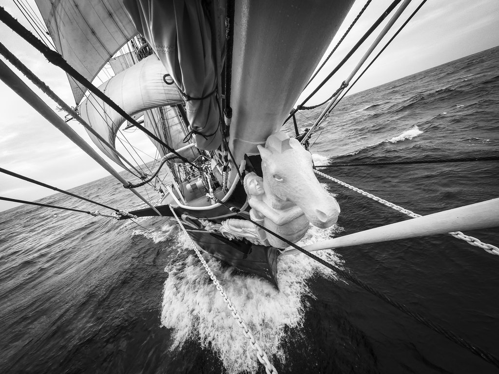 RMG Photo Studio tweet media