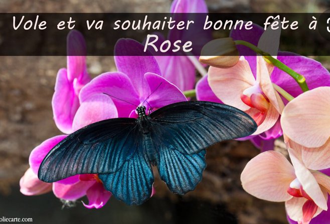Cindy Pomares Bonne Fete A La Plus Belle Des Roses T Co Dbau7srbeh Twitter Cindy Pomares Bonne Fete A La Plus Belle Des Roses T Co Dbau7srbeh Twitter