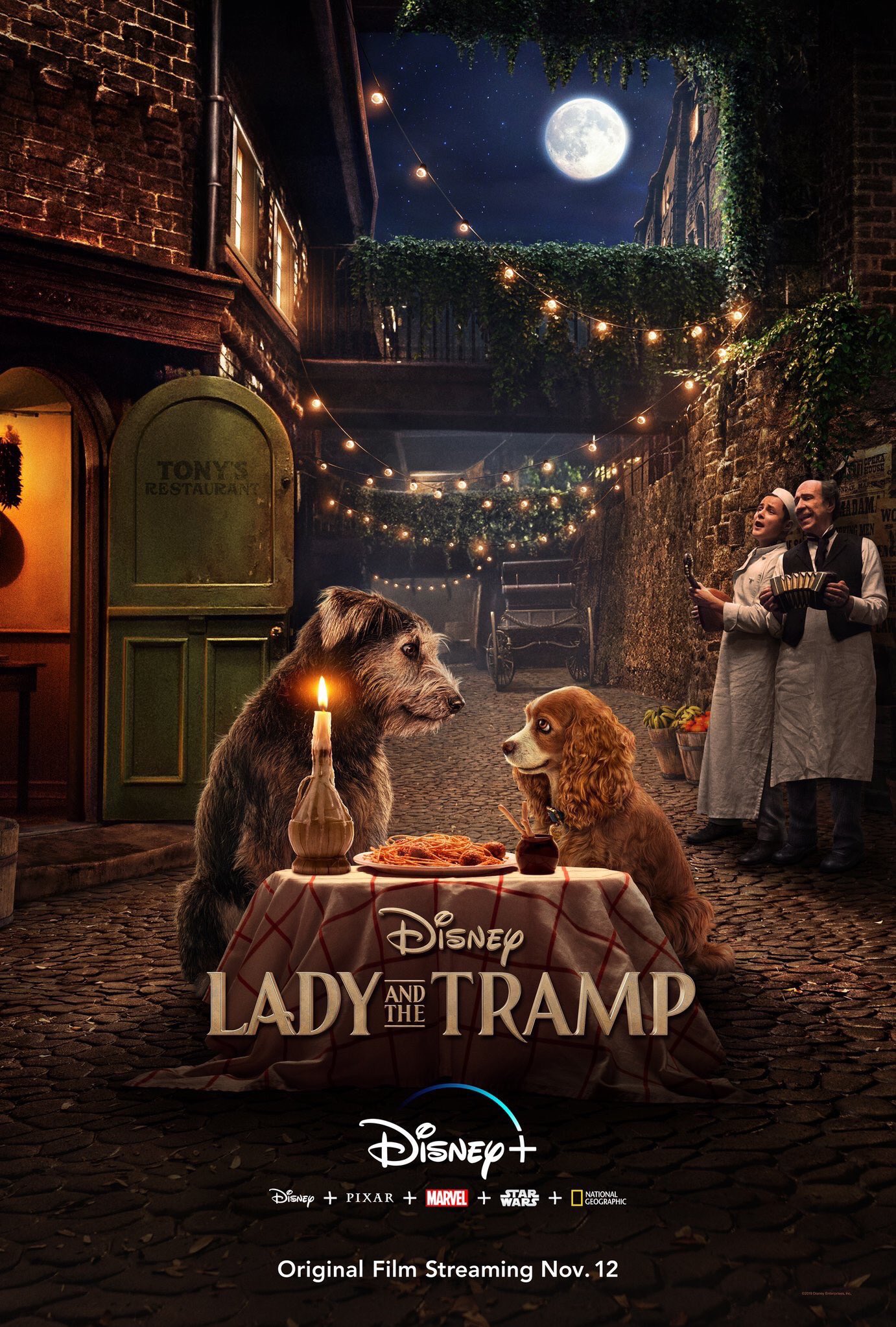 おーもと わんわん物語実写版のポスターきてる トランプ役の犬は実際の保護犬だそうですね ちなみにアニメのモデルはエアデールテリア