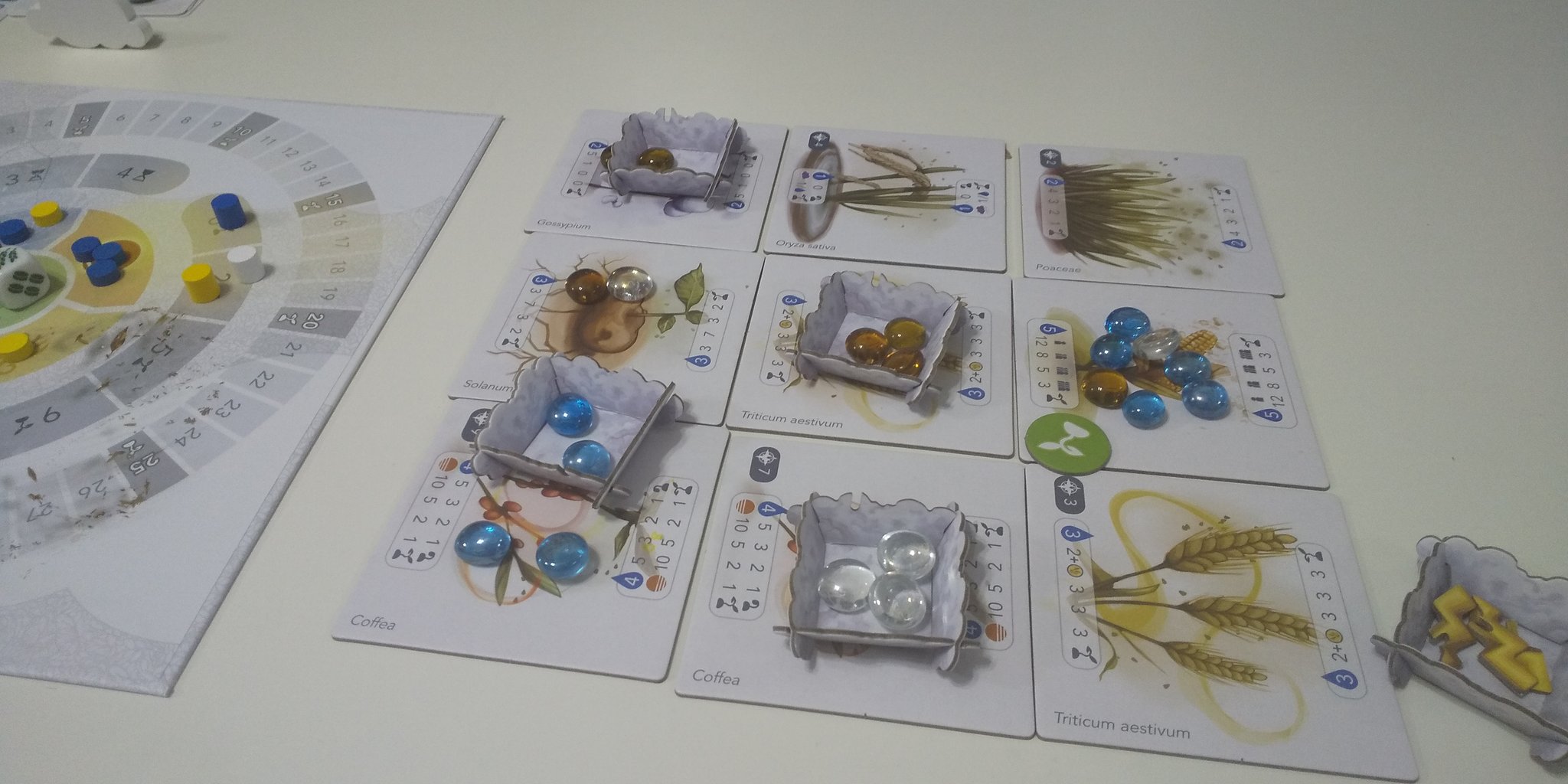 コン 個人の主観です ペトリコールは雨雲作ってワッショッショイwなゲーム ショートゲームを３人プレイした感想は 思ったより作物育たねー で一致した ラウンドやプレイ人数で大分変わるのかな これはリプレイ案件 個人的には スタプ１回取る