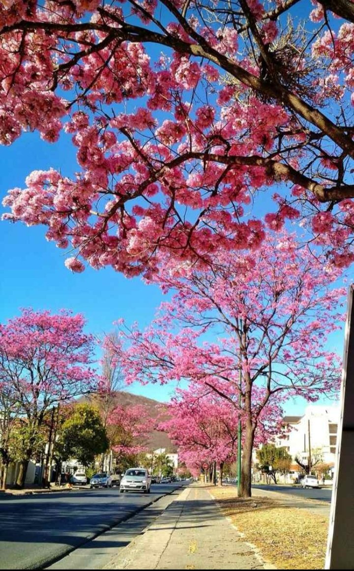FernandaMariluM's tweet photo. @gastonggalindez @gscostanzo @Facvndo @mepsalta @ClaraLopezCatta @YoCasto @KimonSalta @AdrianZigaran @ChecriAnauati @anitaparodi @romiflamini @CarlosLeonOk @marcelajesus @ManuArancibia8 😍😍😍😍 https://t.co/no2mKCYJXn
