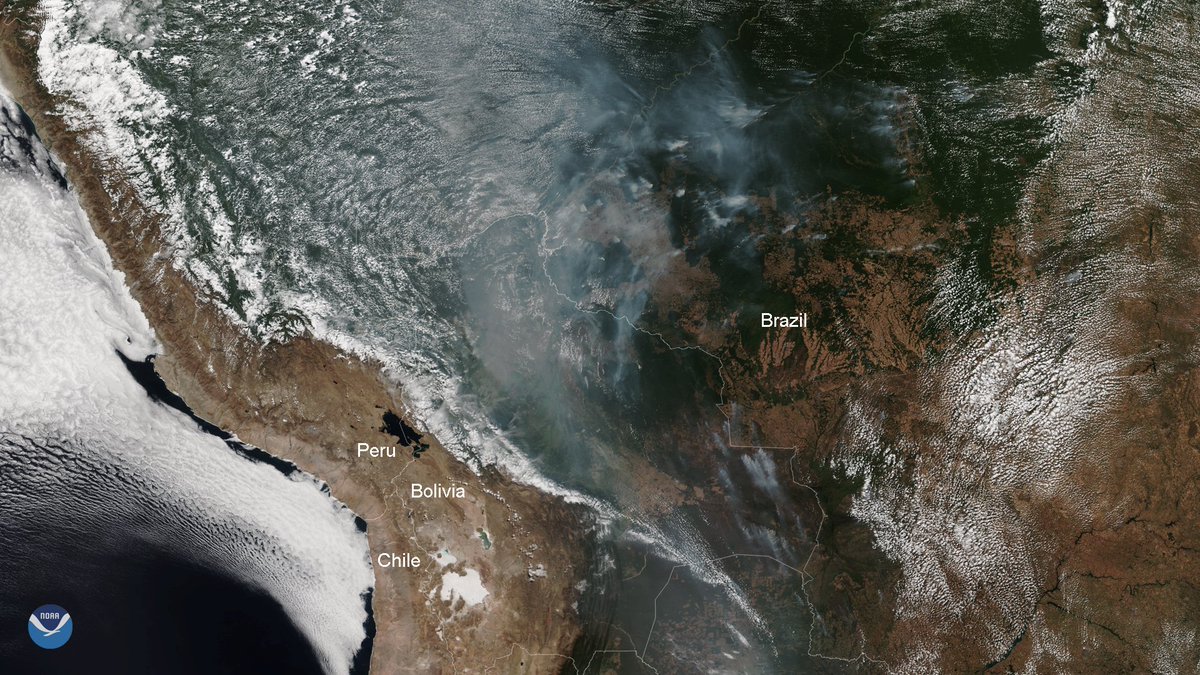 TheSTEMTimes's tweet photo. A double whammy of man-made causes - drought and deforestation has set fire to one of the wettest lands on Earth - the Amazonia is burning https://t.co/VtUfdELqwG 
By @ajit9988 
#science #news #AmazonRainforest #AmazonFires https://t.co/rfA3xQrOvm