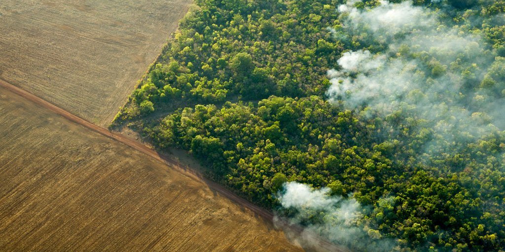 WWFFrance's tweet photo. L'#Amazonie s'embrase sous la pression de la déforestation liée aux cultures et à l'élevage. @EmmanuelMacron vient d'annoncer que la 🇫🇷 s'opposait à l'accord UE-Mercosur "en l'état". Le @WWFFrance salue ce premier pas et attend des décisions du #G7. #ActForTheAmazon https://t.co/2fUHVotqAp