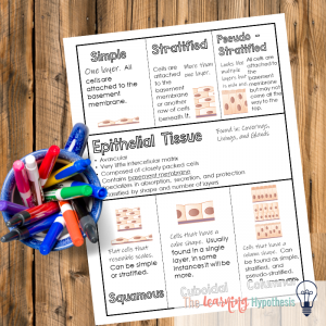 LearningHypoth's tweet photo. "What I love about using graphic notes (visual notes)" https://t.co/MknMXIz76k #Learning #Interactivenotebooks #Graphicnotes https://t.co/HcWvhW7aqY