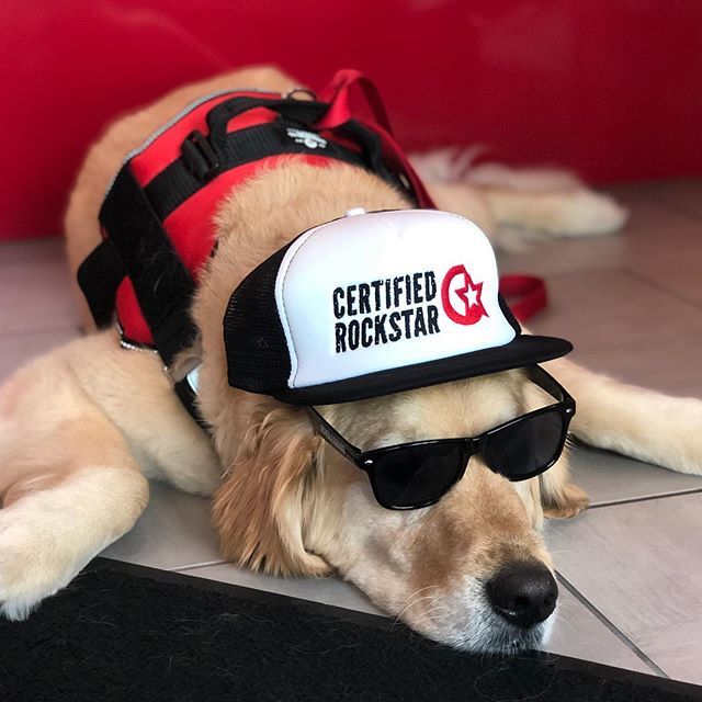 jakemaulin's tweet image. We party hard on Friday. .
@cyclebarnaples #fitdogs #naplesflorida #cbnaples90 #rockyourride ift.tt/2KSzqHX