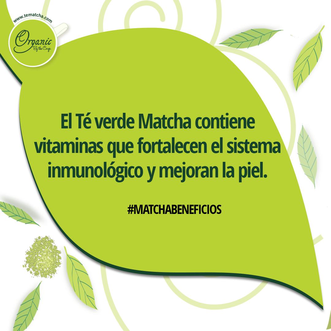 te_matcha's tweet photo. #MatchaBeneficios

¿Sabías qué..? 🌿
Té verde Matcha #OrganicByTheCup contiene vitaminas 👇

https://t.co/TorREm6kT8

#TeMatcha #TeVerde #GreenTea #Japones #Importado #MatchaLovers #MatchaMexico #MatchaFrappe #TeVerdeMatcha #Organico #Natural https://t.co/0HiaCMo5gk