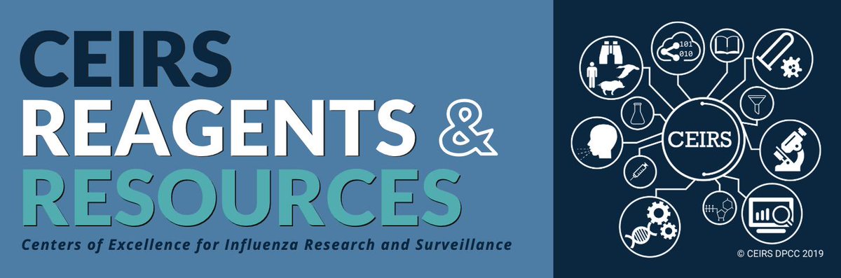 ceirsinfluenza's tweet photo. #CEIRS is attending the @OptionsX19 conference in Singapore next week! Look for us at the main exhibition hall near the entrance!
#OptionsX #ISIRV #globalconference #infectiousdiseases #influenza #fluresearch #flu #lovevirology #virology #ceirsreagents #sharingspeedsscience https://t.co/gUEOu9bkQ8