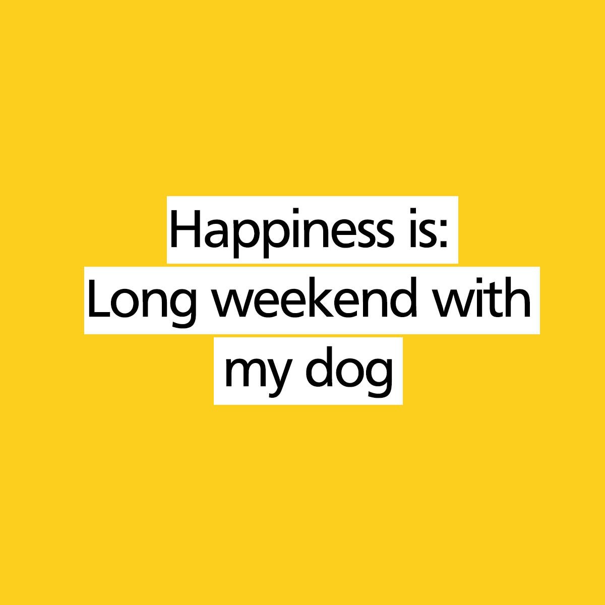 Dogs Trust 💛🐶 tweet media