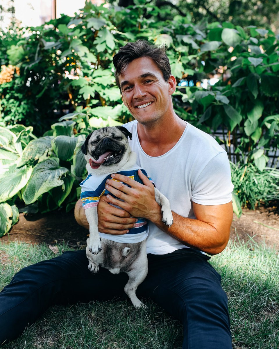 itsdougthepug's tweet photo. Our good looks and charming personalities deserve all the roses 🌹 @TylerJCameron3 https://t.co/vCKmBNqM2v
