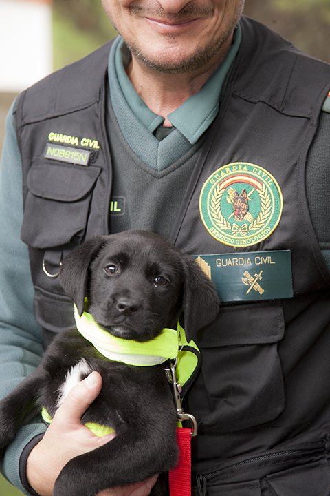 guardiacivil's tweet image. Mi #Meta 🏁 en la vida es ser tan buena persona   💓 como mi perro "cree que soy".

De ahí que lo trate con cariño 💕. 

#Buenasnoches 🖐️ #Picofolowers