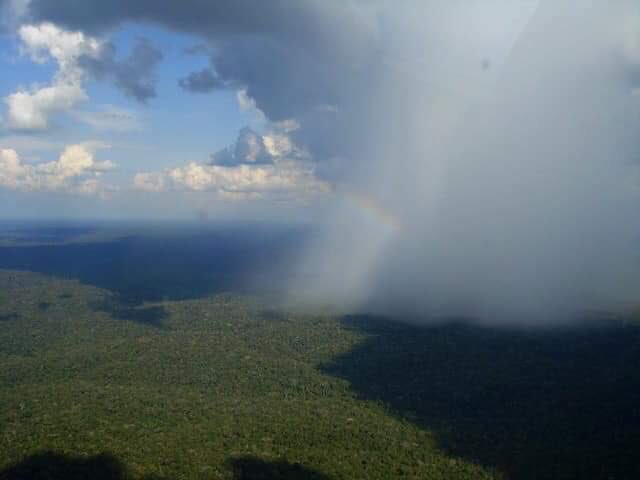 iamnanbansiva's tweet photo. #prayforamazonia finally thank God , the rain falls into Amazon forest ..😀😀 https://t.co/eimDYZrPPw
