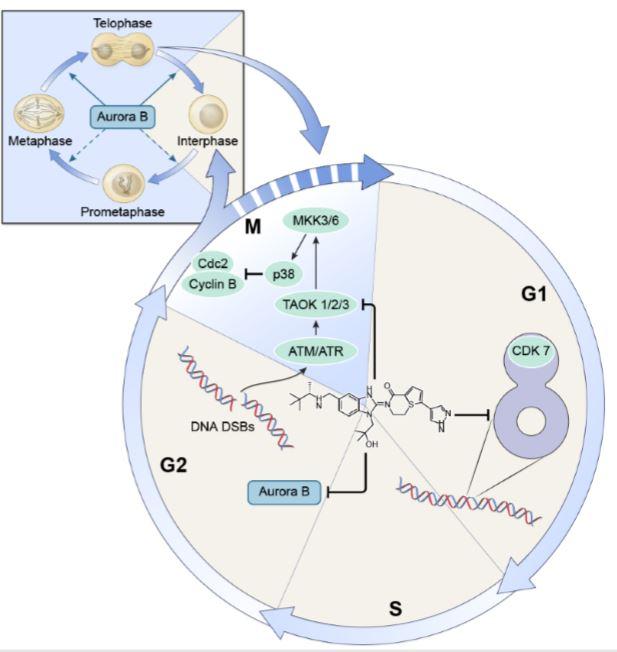 recombination in semiconductors