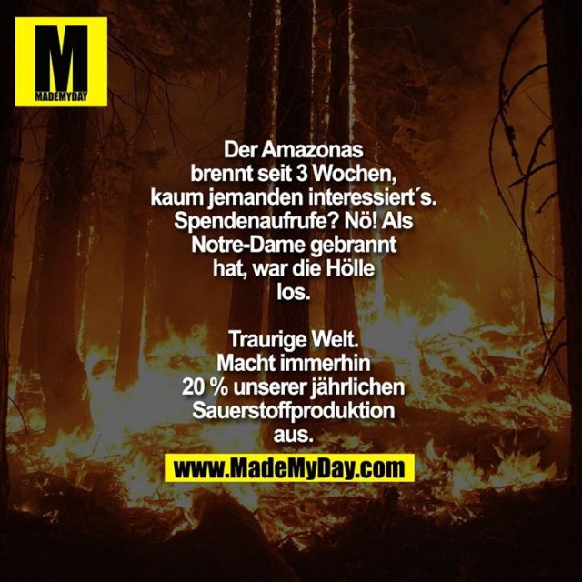 MadeMyDaycom's tweet photo. https://t.co/eHTX2MriOn