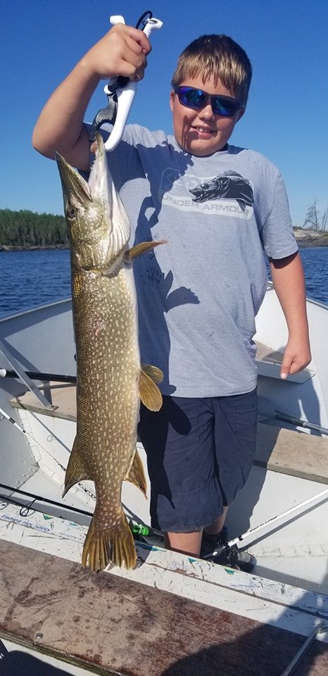 jacksonslodge's tweet photo. @jacksonslodge #fishing #pikefishing #catchandrelease #fishManitoba #travelManitoba #flyinfishing #outposts #lodges #lakefishing #riverfishing #fishermen #fishwithus #fishingisamazing https://t.co/BvNqxlvCZv