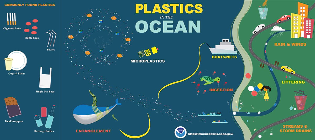 plasticfreesea's tweet photo. #SaveOurSeas #PlasticPollution https://t.co/6gwmcv94oq