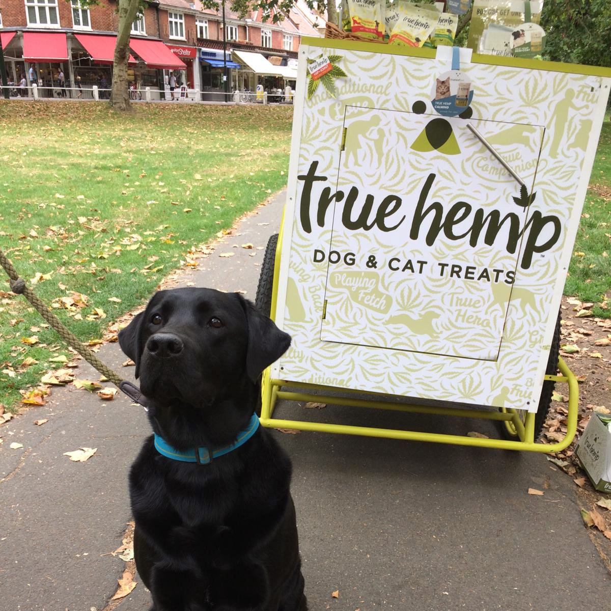 trueleafpet's tweet image. Team Europe is out on the streets of London in the Barnes and Staines on Thames area handing out treats from their taste-testing trike!