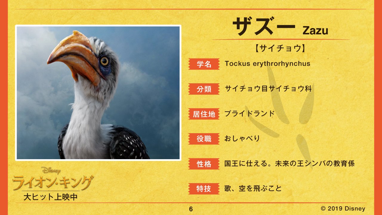 ディズニー スタジオ 超実写ライオンキング 図鑑 File6 ザズー 国王に仕えるサイチョウ ザズー の生態を大研究 教育係だけれど やんちゃな シンバ に翻弄されっぱなし ライオンキング 大ヒット上映中 T Co Hmylp7imzh