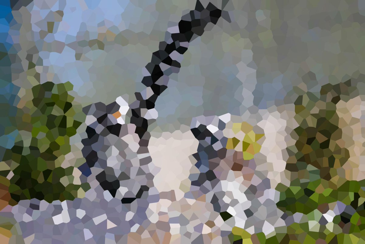 calgaryzoo's tweet photo. It's time for another round of Guess that Animal! 🐾 We give you a distorted picture, and you tell us which animal you think it is!

What am I? 🤔 https://t.co/6cSaiHPNVP