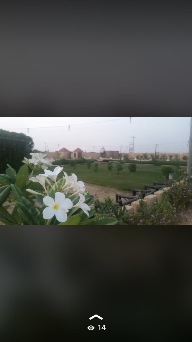 rokn22's tweet photo. #الهلال_ابها_الدوري https://t.co/Q5i5JOGJTR