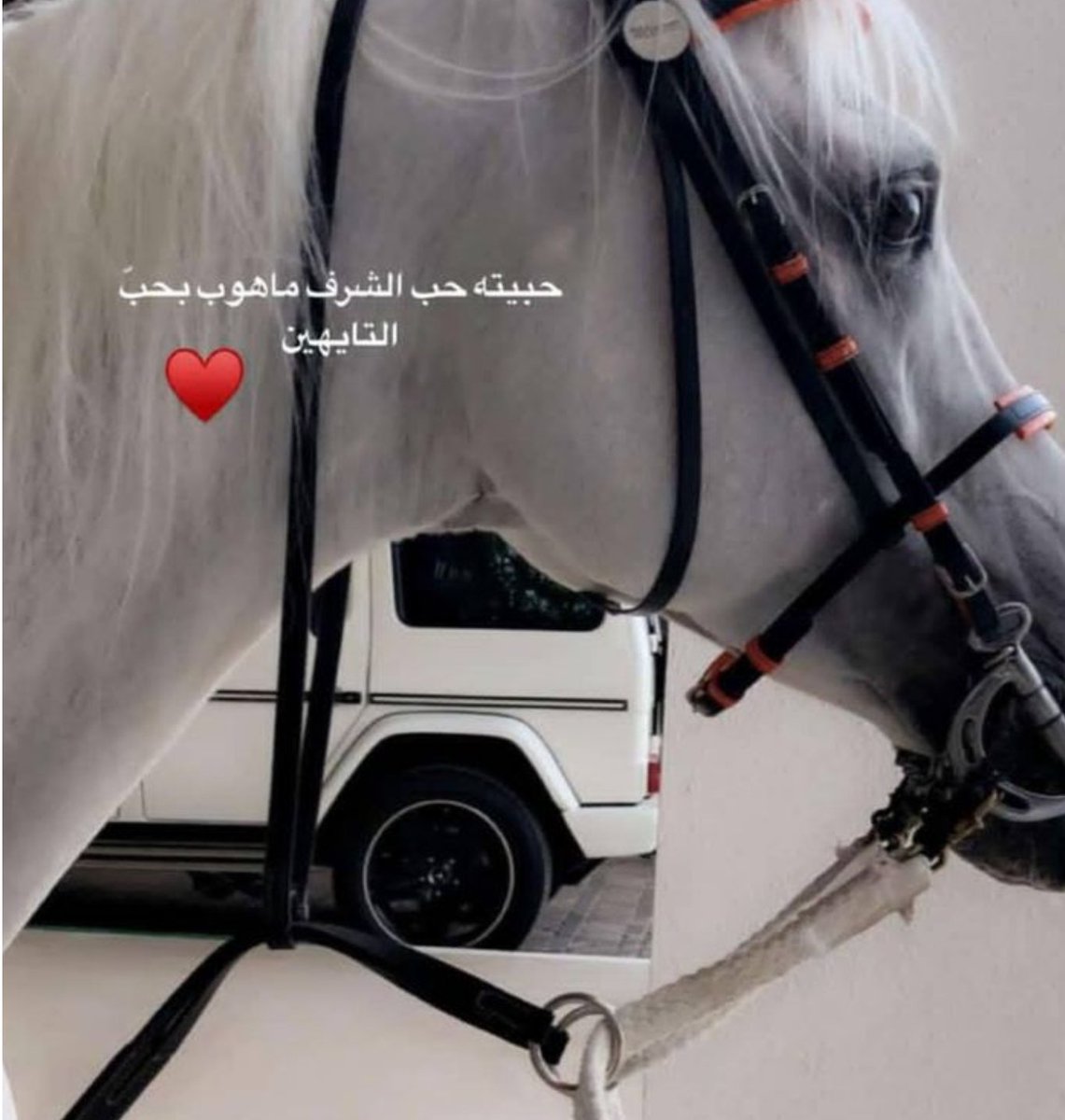 rashed_alqaisi1's tweet image. 