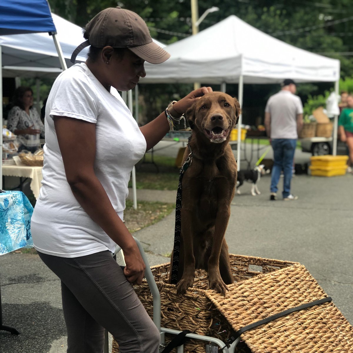 Drive, walk, or get pulled in a wagon. All dogs are invited to a Pawsome Dog Pawty at tomorrow's W.Newton's Farmers' Market. Treats, Giveaways, Demos, Contests...! Sat, 8/24, 9:30-12:30 conta.cc/322xFh5 #dogs #NewtonMA #free #market