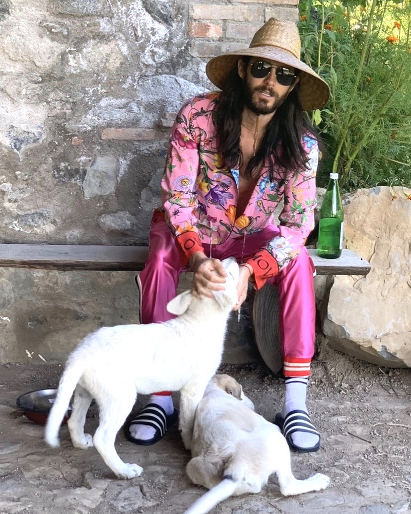 JARED LETO on Twitter "Who's a good boy? 📸 Alessandro Michele…