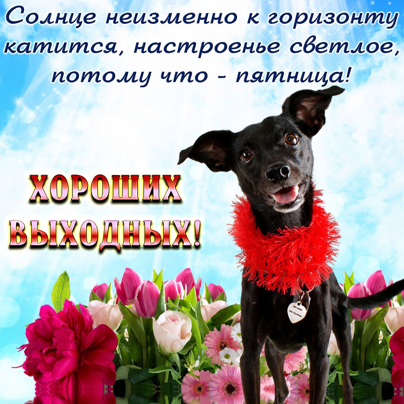 Картинки с окончанием рабочей недели картинки прикольные