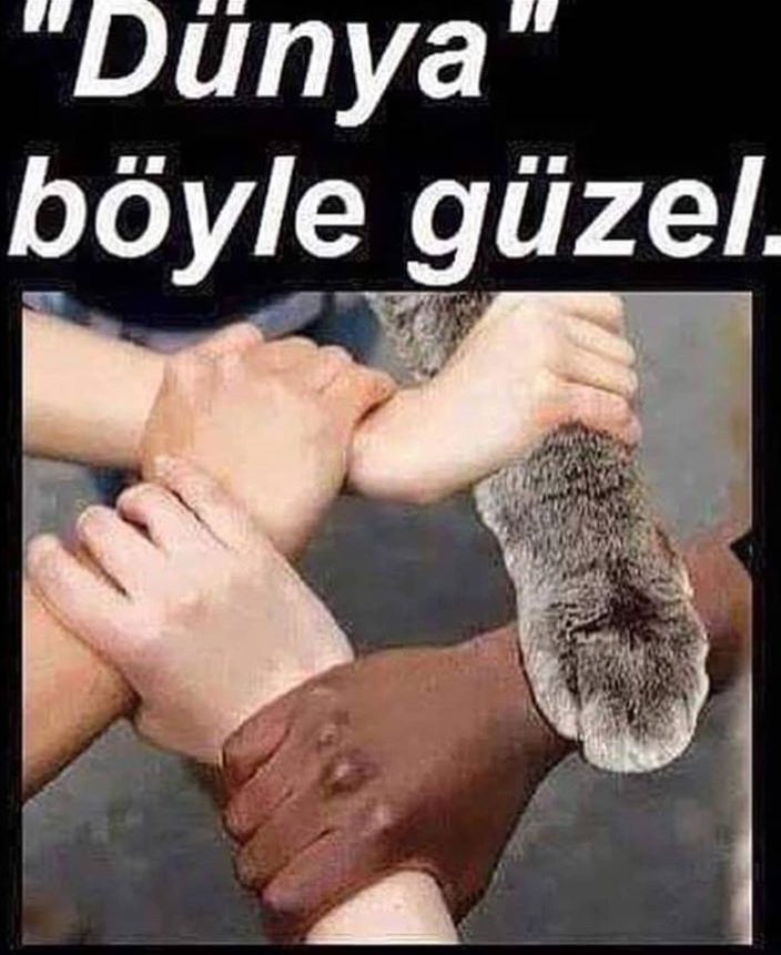 Dünya böyle güzel..