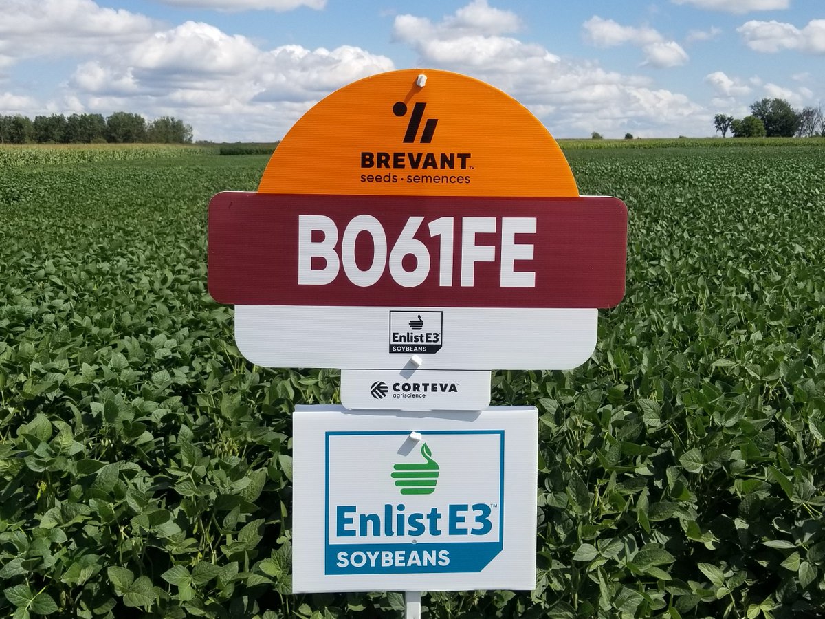 INTRODUCING B061FE3 0.6RM 2675HU for the new Enlist Weed Control System! Strong emergence on this moderate plant height variety with good harvest standability. Average bushiness and performs well on narrower rows. <a href="/BrevantSeedsCA/">Brevant seeds Canada</a> <a href="/EnlistOnline/">Enlist™ weed control system</a>  #virtualplottour