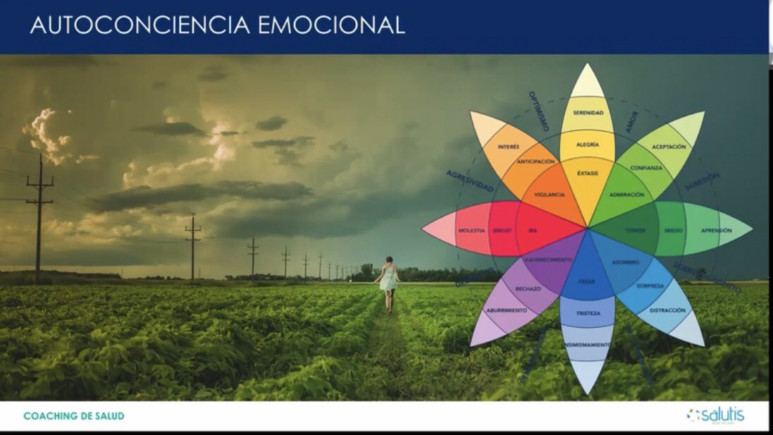 coachingdesalud's tweet image. Sabemos que toda enfermedad está influenciada por diferentes factores y no podemos ignorar los emocionales😯🥴☹️. Todo aquello que silencias o tapas, puede somatizarse desencadenando un malestar o agravando tu estado de salud.
#emocionesysalud #Modulo8 #Expertoencoachingdesalud