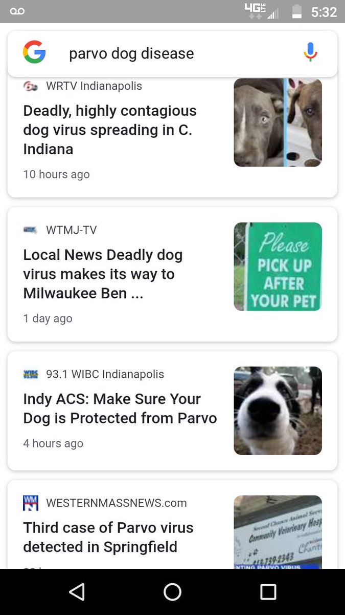 All #dog owners and #pet lovers please be aware #parvovirus is spreading rapidly through #america PLEASE WATCH THEM CLOSELY AND ENSURE THEY DON'T HAVE CONTACT WITH ANY OTHER DOG FECES!