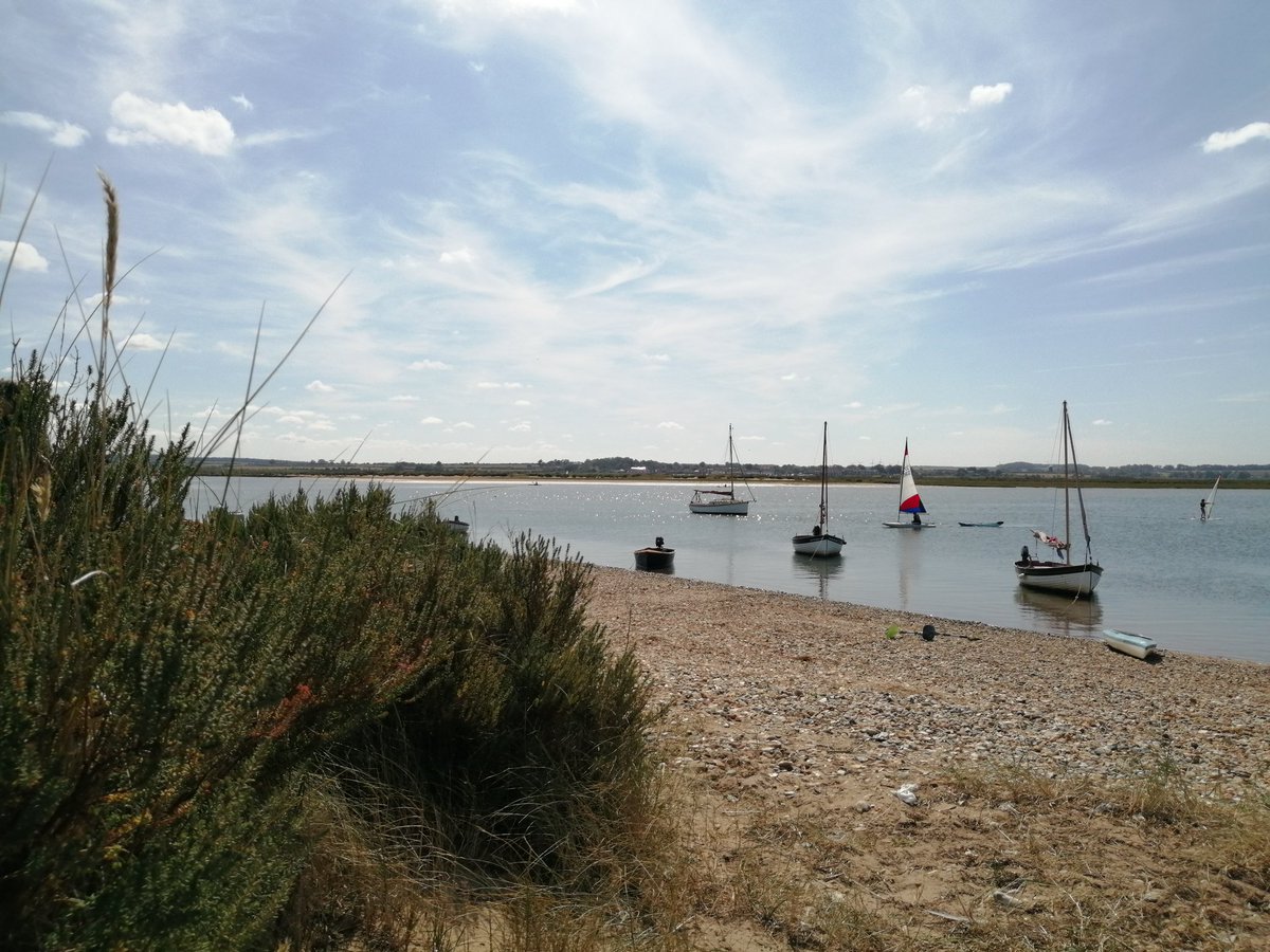 SGundogs's tweet photo. Kayaking, walking, sight seeing and dog training all in one day! 
#northnorfolk #wells #holkham #burnhamovery #labradors https://t.co/zPIg994kuO