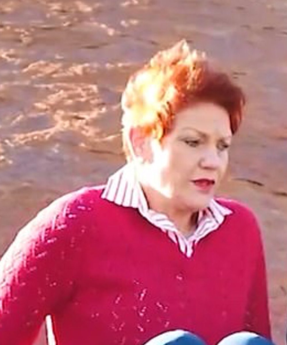'I cannot get down': Terrified Pauline Hanson gets STUCK on Uluru. The price of being a disrespectful smartass🤔