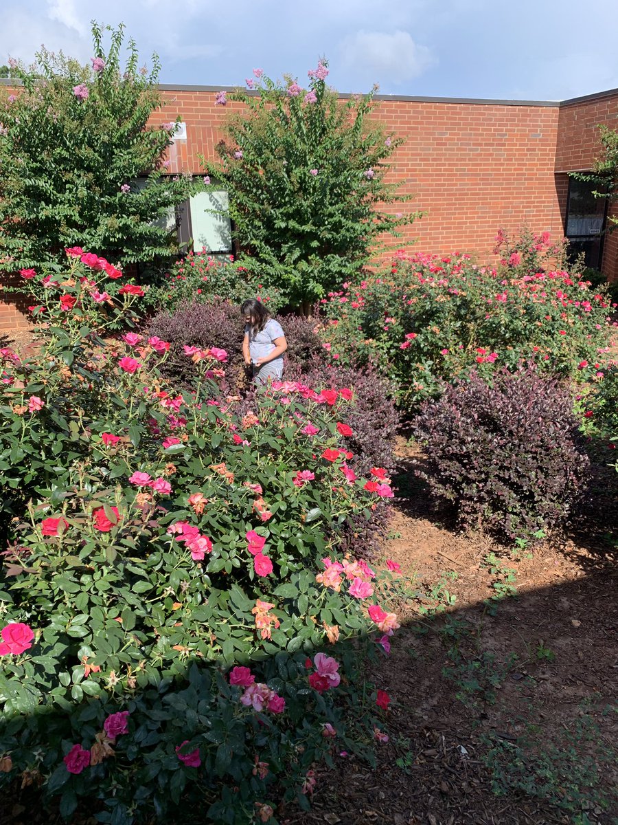 Counting for the Great Georgia Pollinator Census. @CherokeeSchools @OGESeagles #pollinatorsareimportant