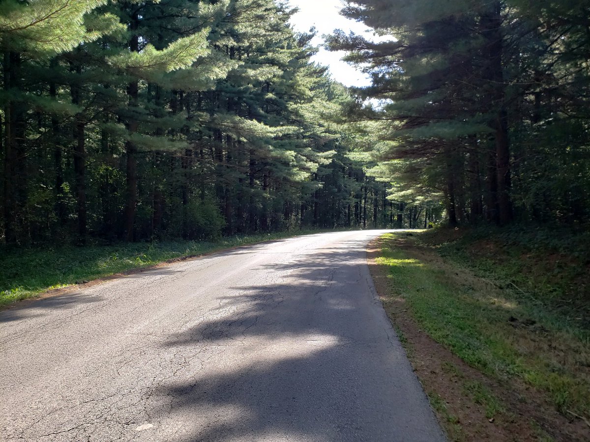 EverydayRiding's tweet photo. Beautiful day for a #ride https://t.co/Yu6OPuCeSp